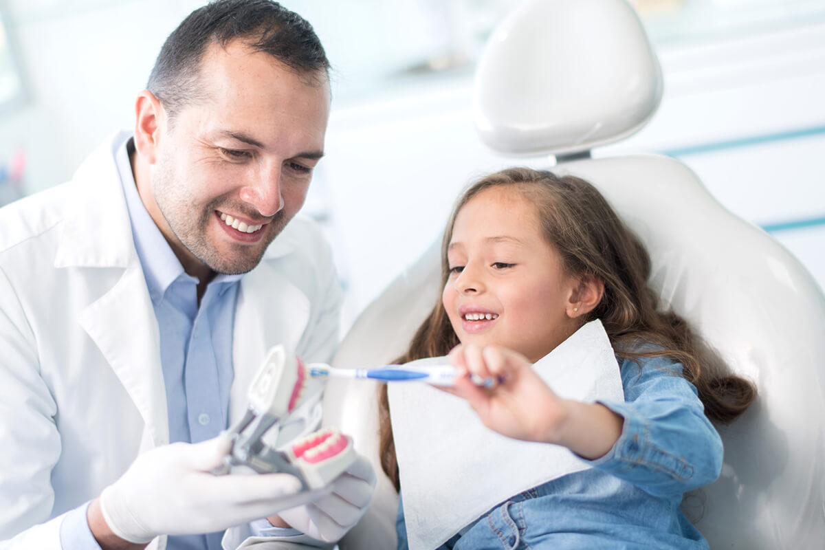 dentist holding model of teeth and young girl using toothbrush on it